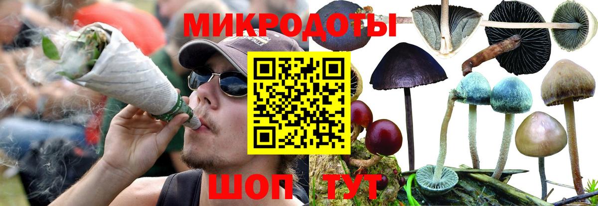Псилоцибиновые грибы GOLDEN TEACHER  Вход с VPN  Белебей 